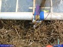 2003_0413_29