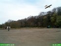 2004_0501_29