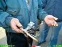 2004_0501_62