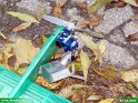 2006_1007_17