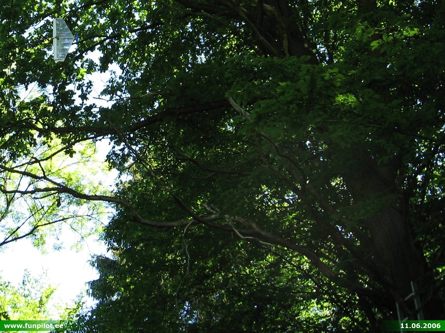 2006_0611_12.jpg