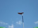 2006_0610_13