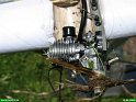 2006_0610_29