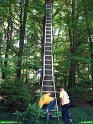 2006_0611_09