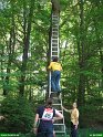 2006_0611_10