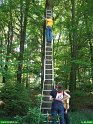 2006_0611_11