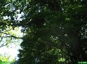 2006_0611_12