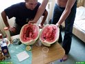 2006_0825_11