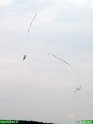 2006_0826_098