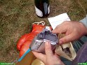 2006_0827_56
