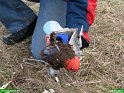 2007_0408_19