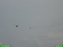 2007_0811_28