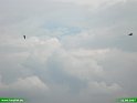2007_0811_31