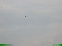2007_0811_34