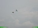 2007_0811_38