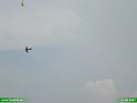 2007_0811_40