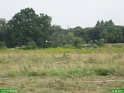 2007_0811_45