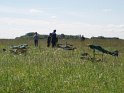 2007_0623_1008