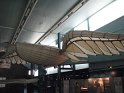 2008_0806_124