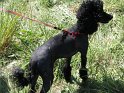 2008_0607_23
