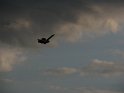 2008_0523_14