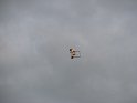 2008_0523_15