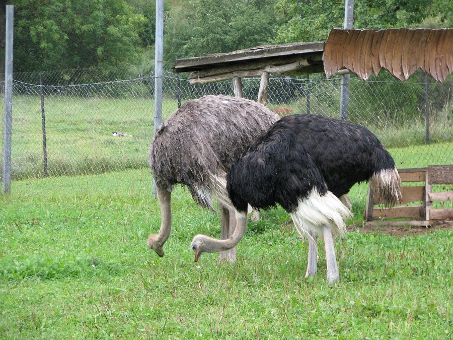 2009_0906_008.jpg