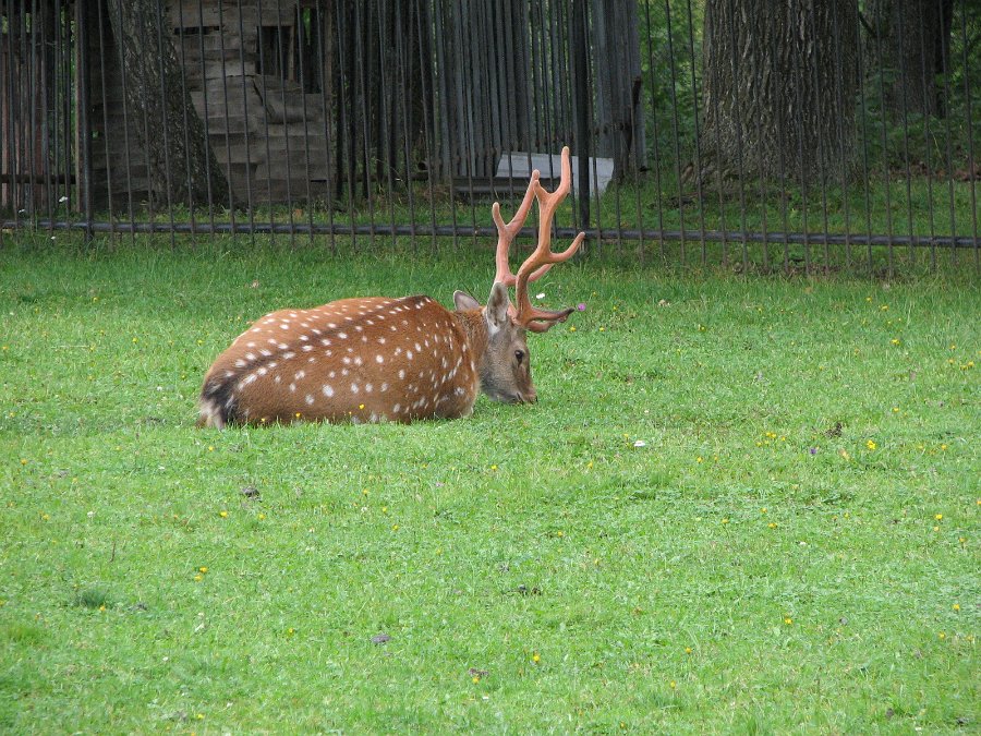 2009_0906_011.jpg
