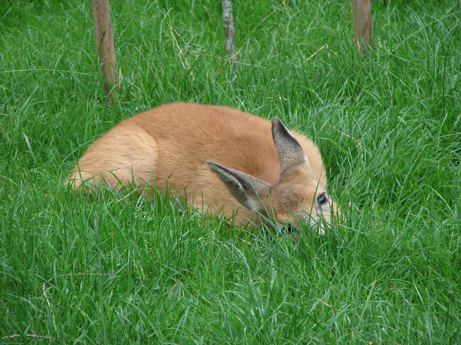 2009_0906_032.jpg