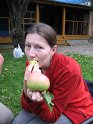 2009_0905_183