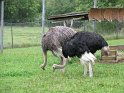 2009_0906_008