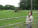 2009_0906_010
