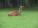 2009_0906_011