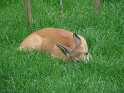 2009_0906_032
