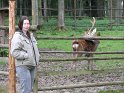 2009_0906_039
