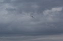 2009_0411r_022