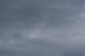 2009_0411r_028
