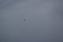 2009_0411r_029