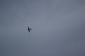 2009_0411r_034