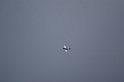 2009_0411r_035