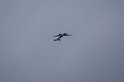 2009_0411r_055
