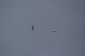 2009_0411r_084