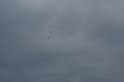 2009_0411r_133