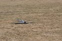 2009_0411r_136