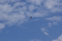 2009_0411r_182