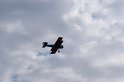 2009_0411r_189