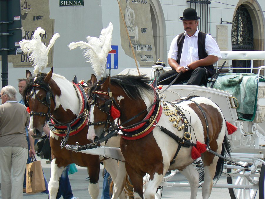 2009_0725_514.jpg