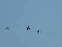 2009_0725_452