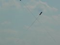 2009_0725_462