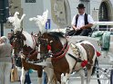 2009_0725_514